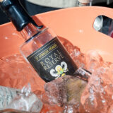 PhotosbyJacquelineLeon-128